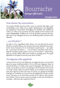 Extrait du livre sur les Bourraches