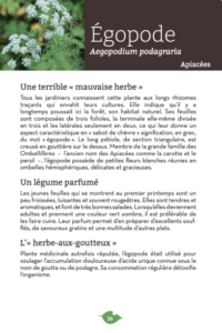 Extrait du livre sur les Egopode