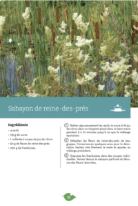 Extrait du livre sur Sabayon de reine-des-prés