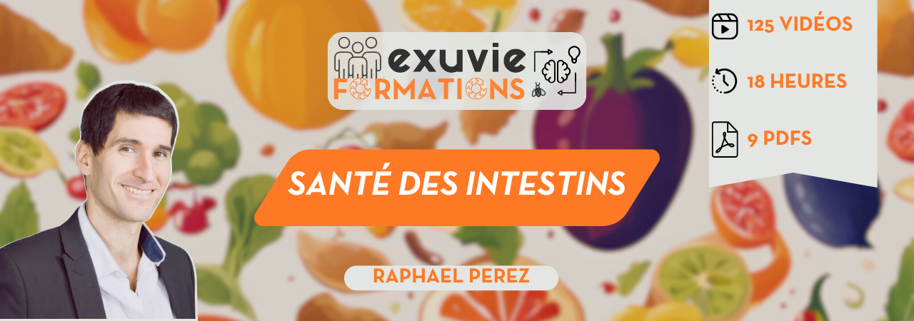 Bannière de la formation 'La Santé des intestins' par Raphael PEREZ pour Exuvie Formations. Le visuel inclut 125 vidéos, 18 heures de cours et 9 PDFs.