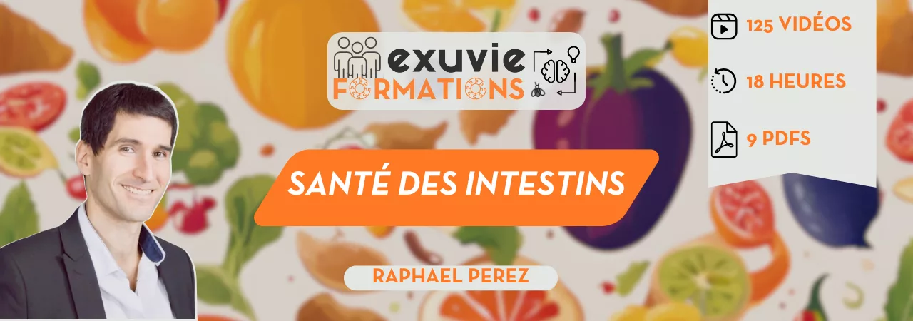 Bannière de la formation 'La Santé des intestins' par Raphael PEREZ pour Exuvie Formations. Le visuel inclut 125 vidéos, 18 heures de cours et 9 PDFs.