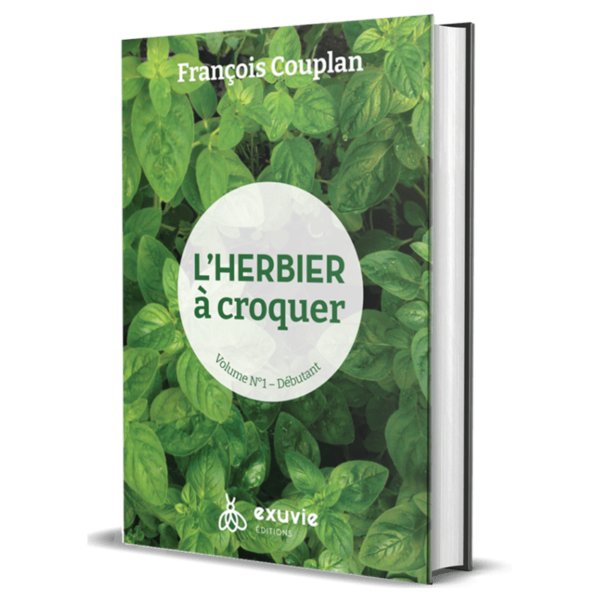 Sans titre (800 x 800 px) (4)-min Sans titre (800 x 800 px) (4)-min