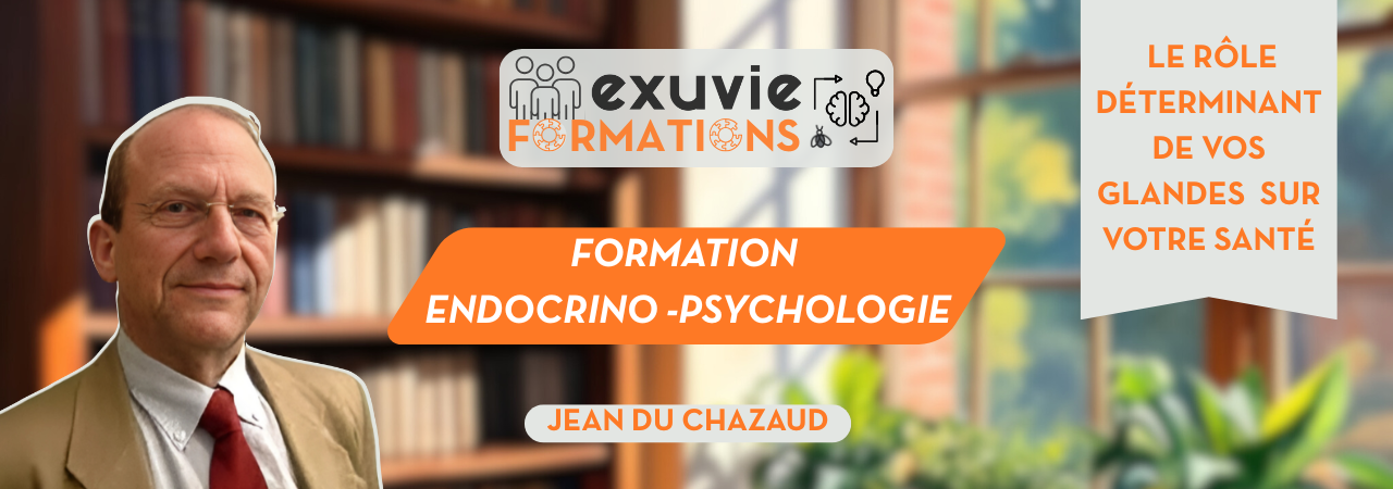Bannière de la formation endocrino-psychologie 'Le rôle déterminant de vos glandes sur votre santé' par Jean DU CHAZEAUD pour Exuvie Formations.
