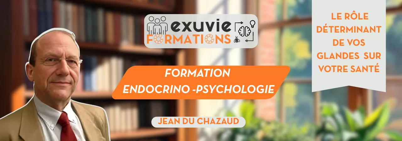 Bannière de la formation endocrino-psychologie 'Le rôle déterminant de vos glandes sur votre santé' par Jean DU CHAZEAUD pour Exuvie Formations.