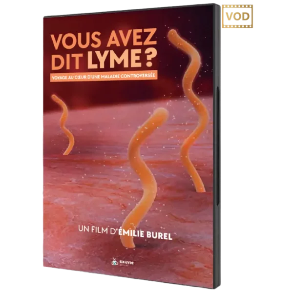 Couv3D - modèle(32) Couv3D - modèle(32)