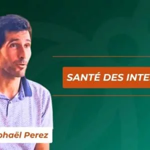 Formation Santé des intestins avec Raphael Perez