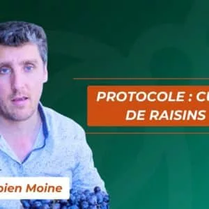 Protocole cure de raisin avec Fabien Moine